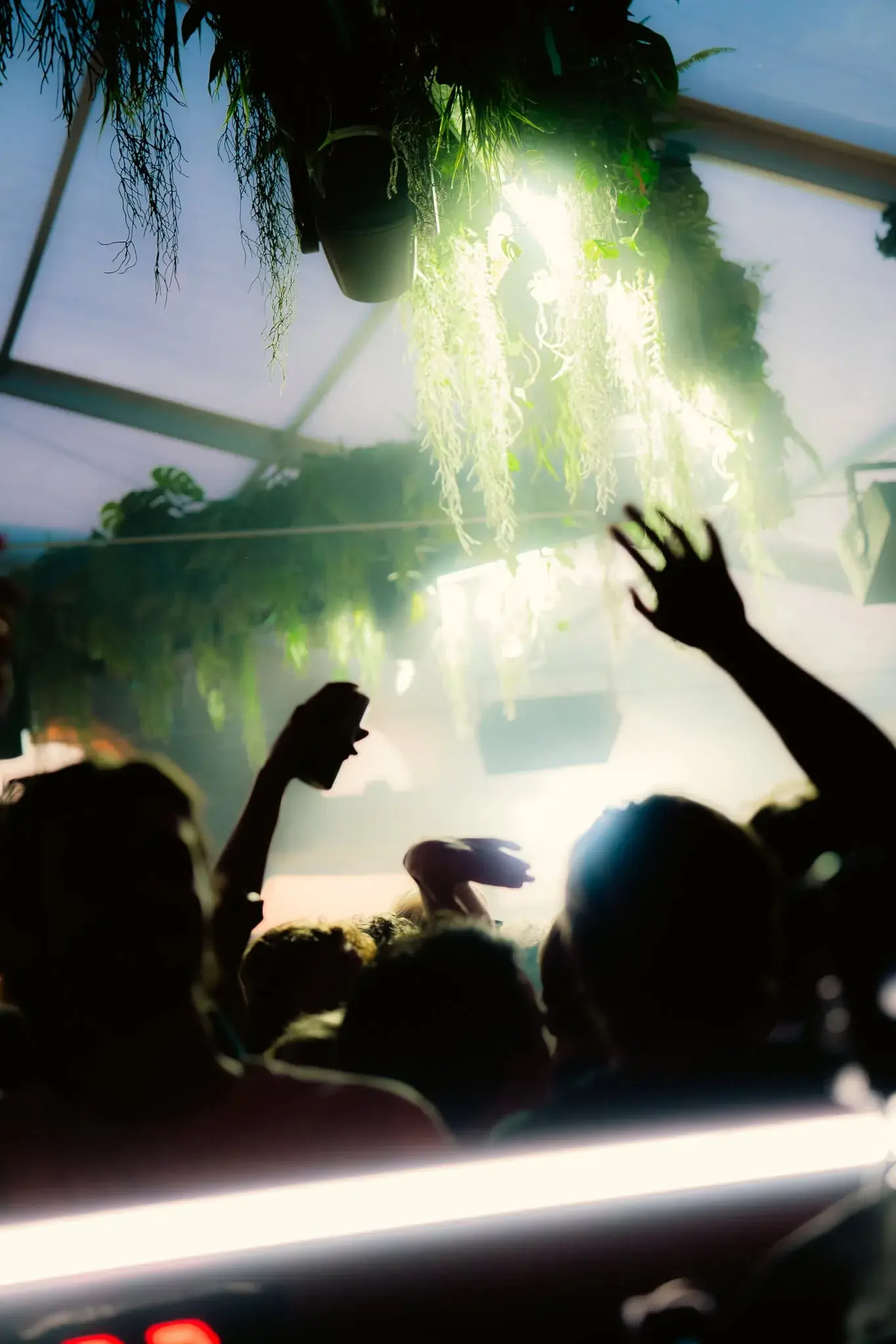 Fans on Colorado Charlie’s dance floor beneath bright green stage lights