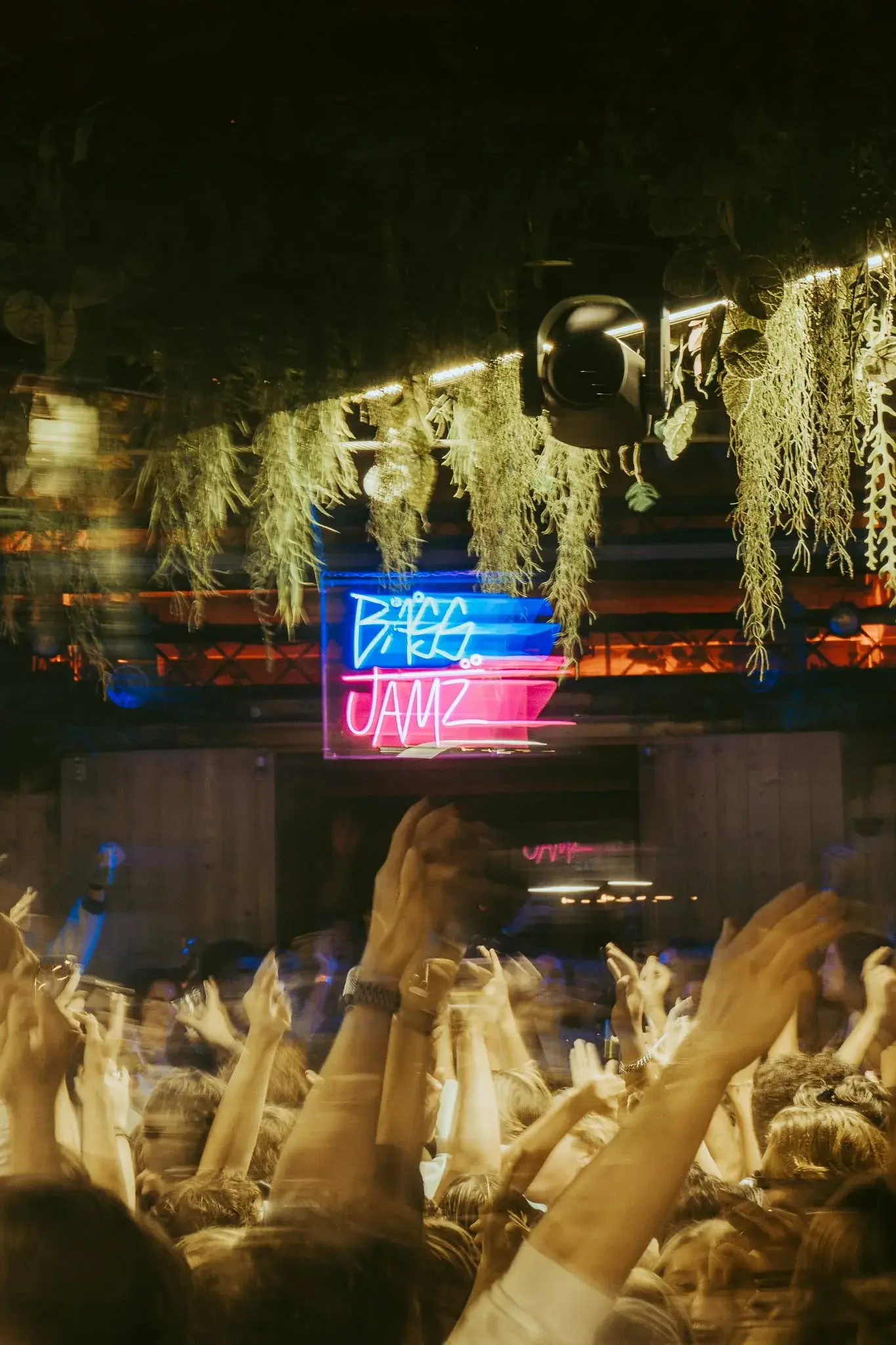 Fans raising their hands beneath Colorado Charlie’s neon sign and hanging greenery